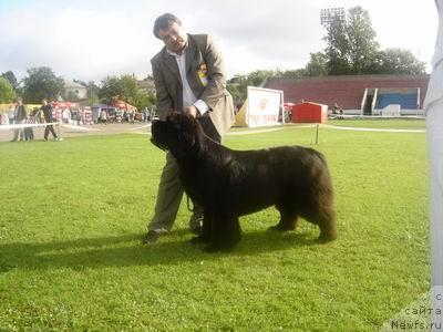 Фотография № 17321