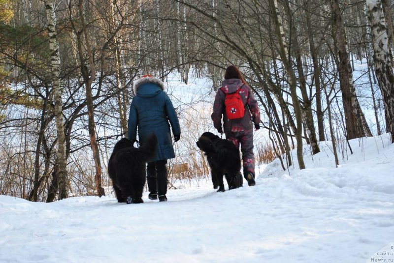 Фотография № 173210