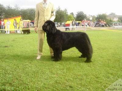 Фотография № 17323