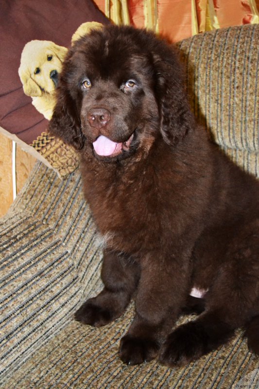 Фотография № 173232