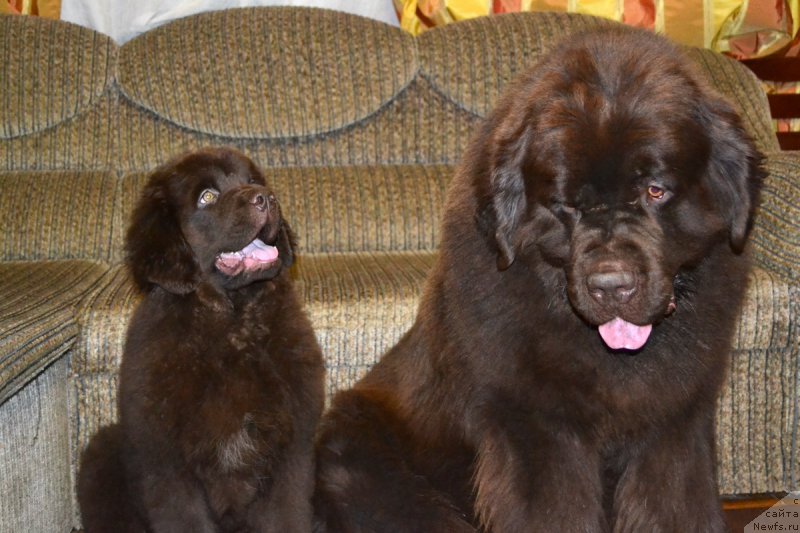 Фотография № 173233