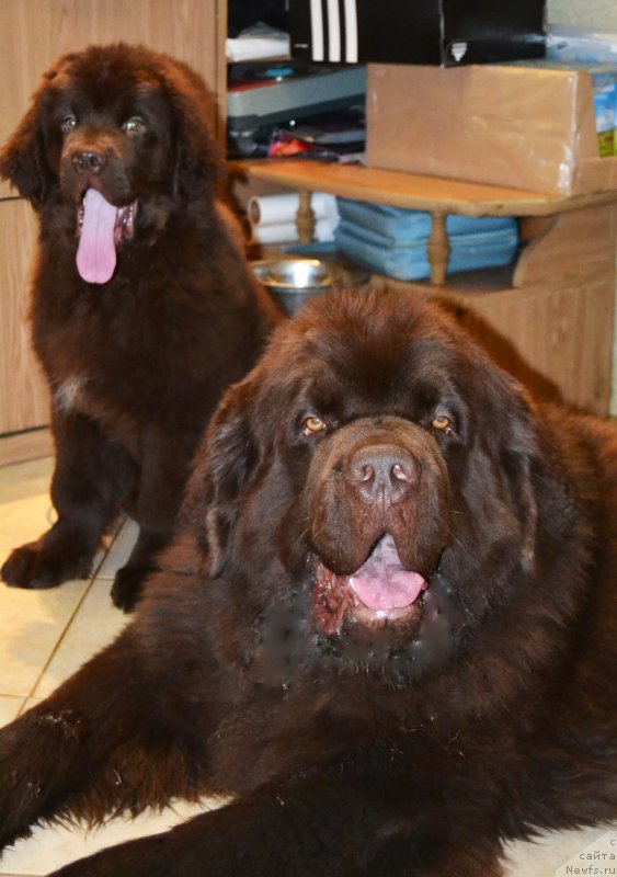 Фотография № 173234