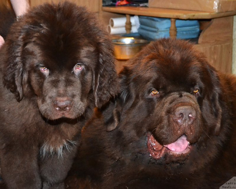 Фотография № 173235