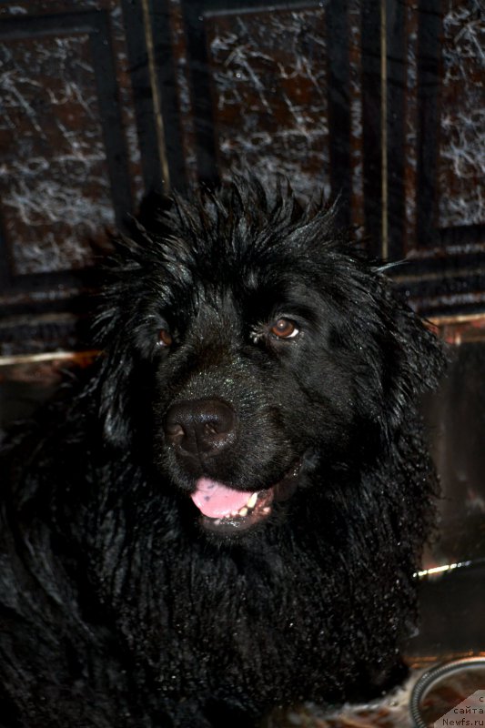 Фотография № 173270