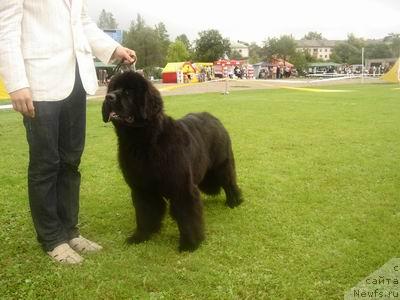 Фотография № 17328