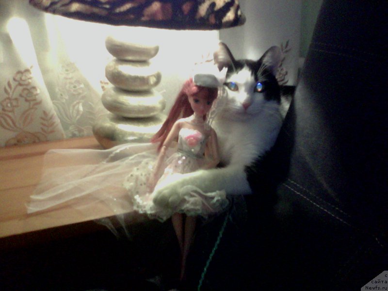 Фото: Svetlana Polyakova (Светлана Полякова)