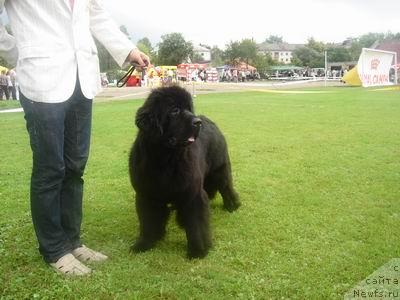 Фотография № 17330