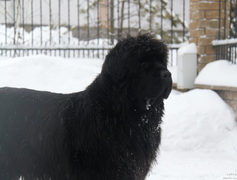 Фотография № 173342