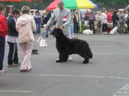 Фотография № 17335