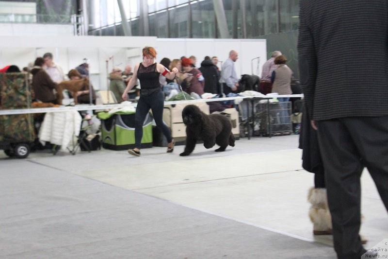 Фотография № 173350