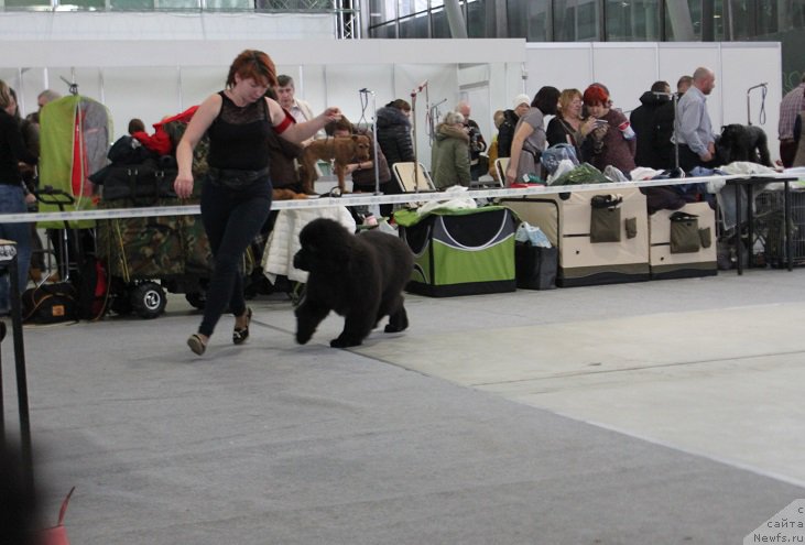 Фотография № 173351