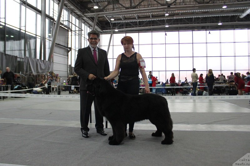 Фотография № 173352