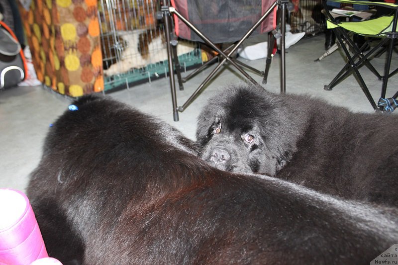 Фотография № 173353