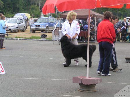 Фотография № 17336