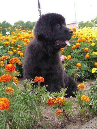 Фотография № 17337