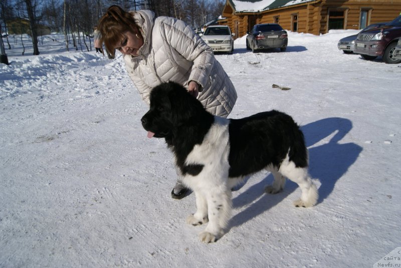 Фотография № 173370