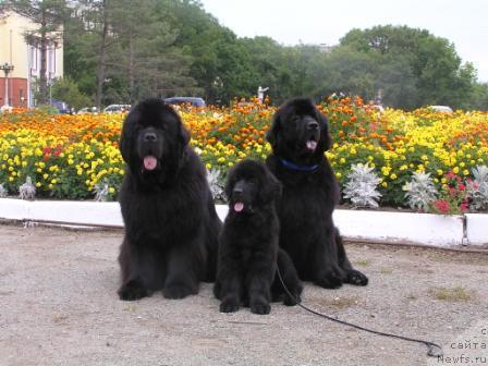 Фотография № 17338