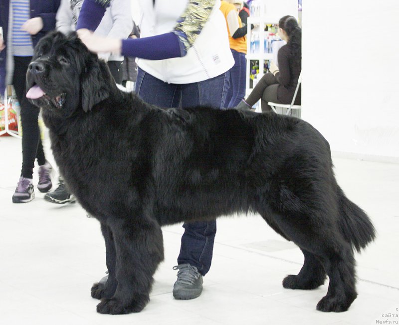 Фотография № 173381