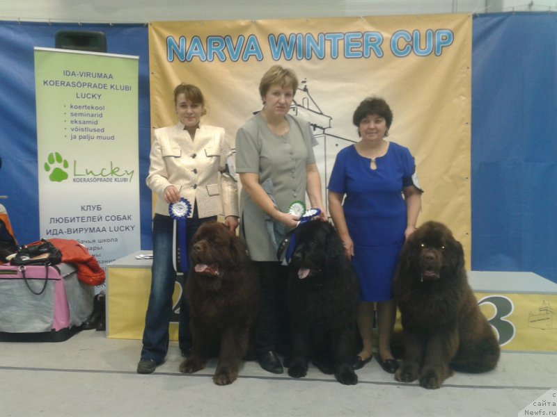 Фото: ньюфаундленд Charmer Denkam Bronze (Чармер Денкам Бронз), Elena YAkovleva (Елена Яковлева), Lyudmila Pavlova (Людмила Павлова), ньюфаундленд Funnewf Jemapel Madam Nuar (Фанньюф Жемапель Мадам Нуар), Elena SHmeleva (Елена Шмелева), ньюфаундленд Charli The Best Helfi Pel (Чарли Де Бест Хелфи Пэл)