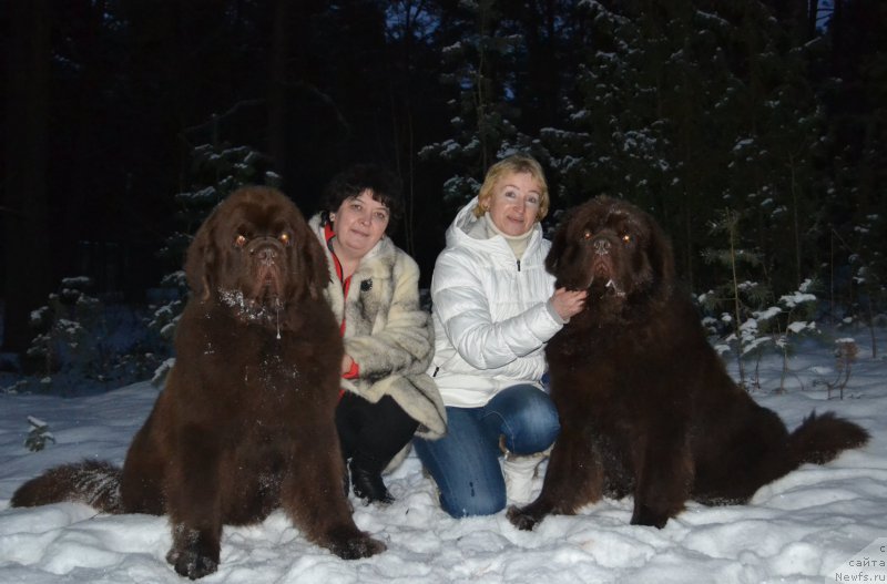 Фото: ньюфаундленд Charli The Best Helfi Pel (Чарли Де Бест Хелфи Пэл), Elena SHmeleva (Елена Шмелева), Galina Vilpo (Галина Вилпо), ньюфаундленд Charmer Denkam Bronze (Чармер Денкам Бронз)