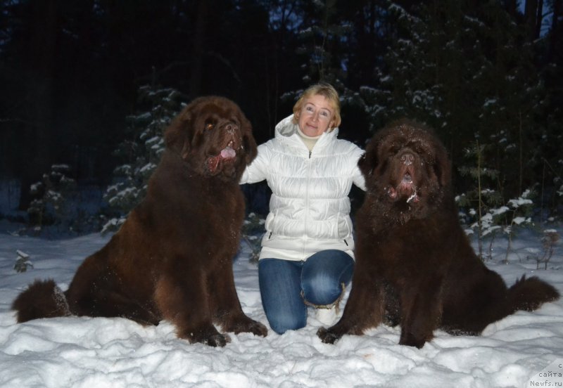 Фото: ньюфаундленд Charli The Best Helfi Pel (Чарли Де Бест Хелфи Пэл), Galina Vilpo (Галина Вилпо), ньюфаундленд Charmer Denkam Bronze (Чармер Денкам Бронз)