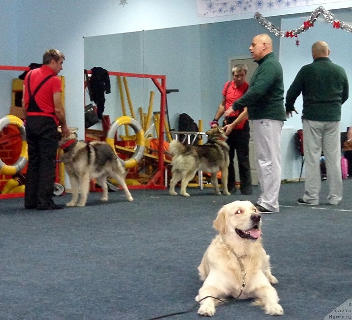 Фотография № 173391