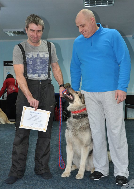 Фотография № 173393