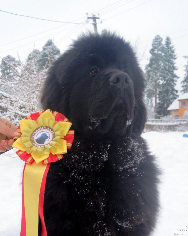 Фотография № 173433