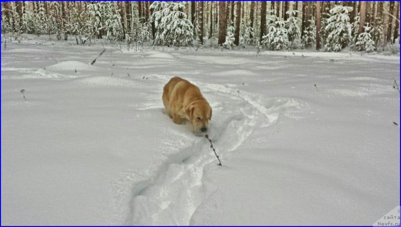 Фото: Lena Zyirina (Лена Зырина), ФРАНКО