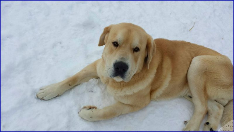 Фото: Lena Zyirina (Лена Зырина), ФРАНКО