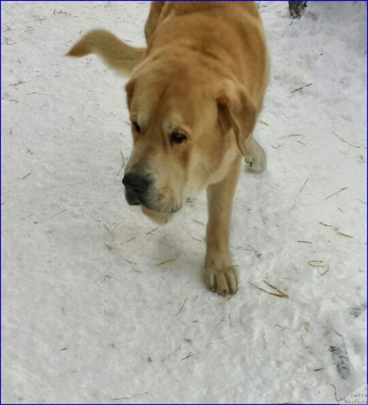 Фото: Lena Zyirina (Лена Зырина), ФРАНКО