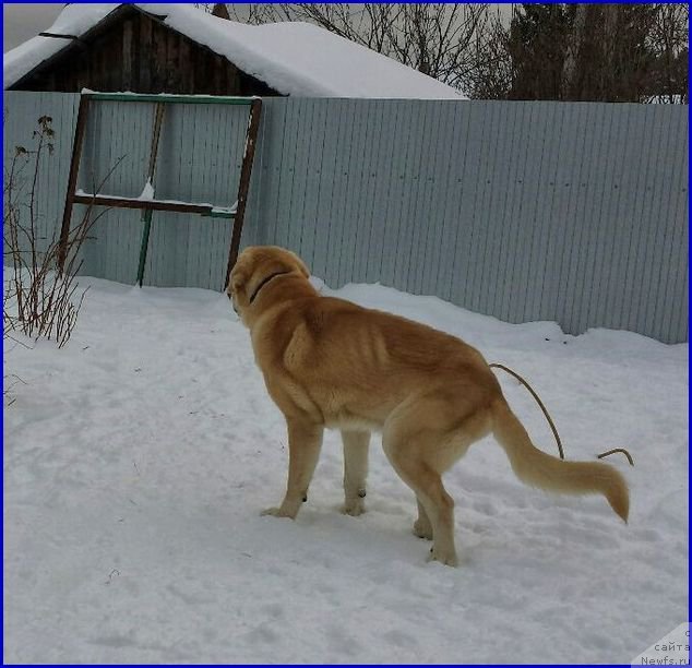 Фото: Lena Zyirina (Лена Зырина), ФРАНКО