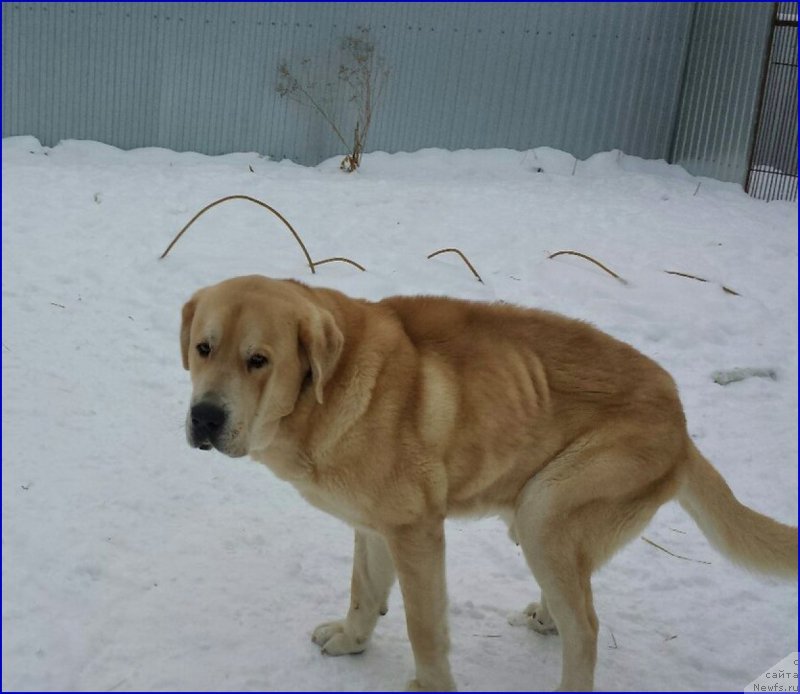 Фото: Lena Zyirina (Лена Зырина), ФРАНКО