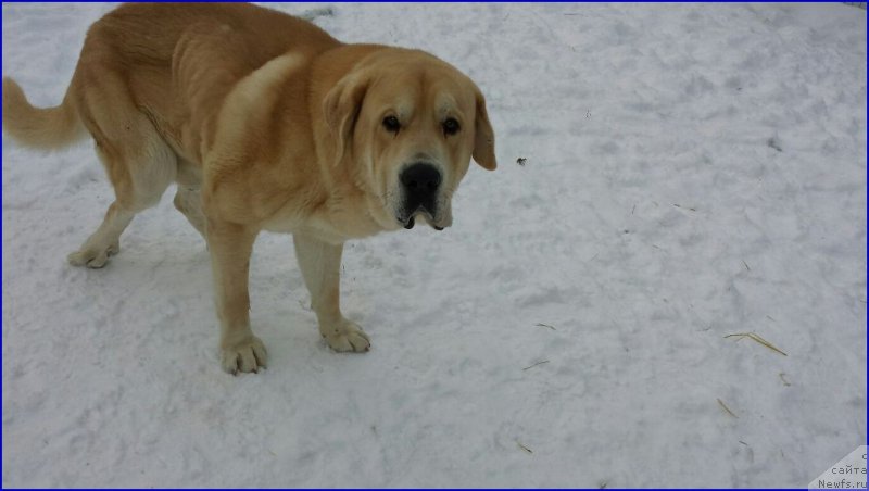Фото: Lena Zyirina (Лена Зырина), ФРАНКО