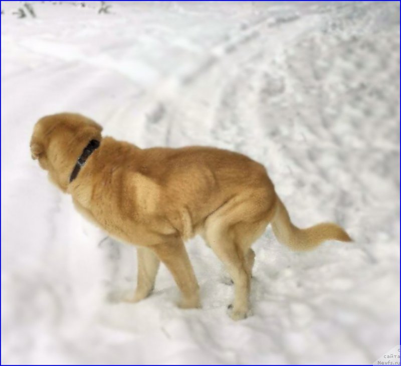 Фото: Lena Zyirina (Лена Зырина), ФРАНКО