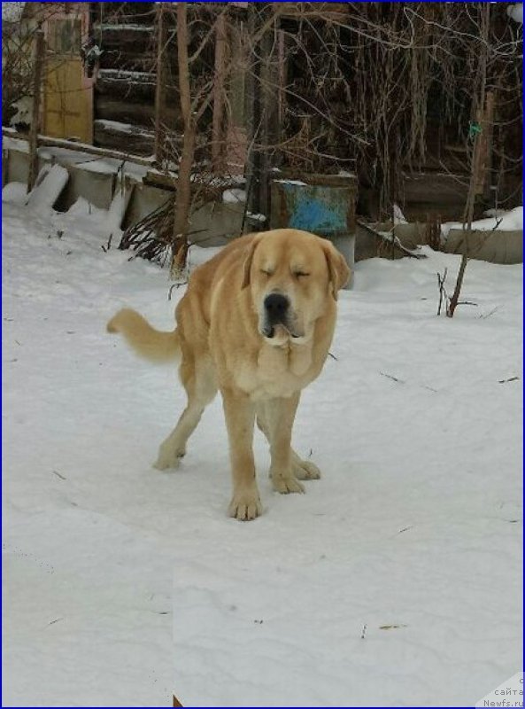 Фото: Lena Zyirina (Лена Зырина), ФРАНКО