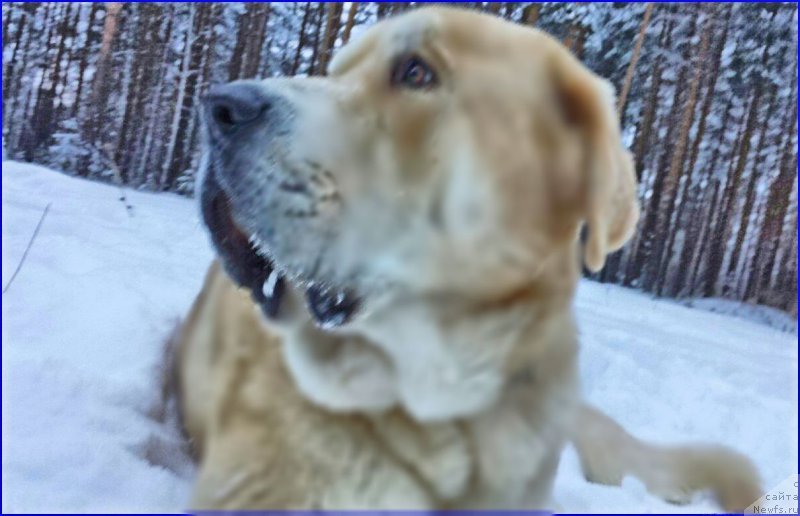 Фото: Lena Zyirina (Лена Зырина), ФРАНКО