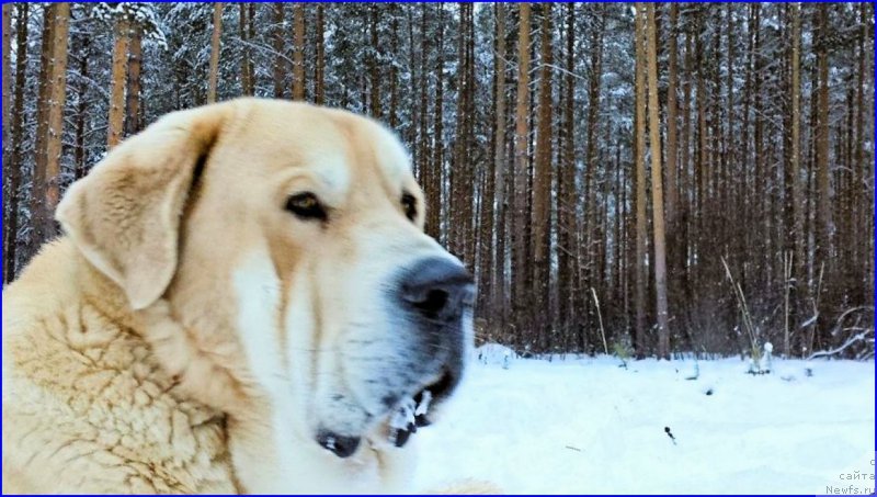 Фото: Lena Zyirina (Лена Зырина), ФРАНКО