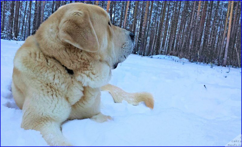 Фото: Lena Zyirina (Лена Зырина), ФРАНКО
