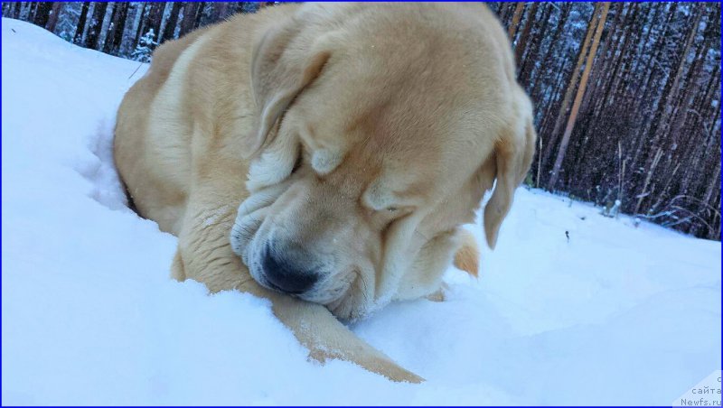 Фото: Lena Zyirina (Лена Зырина), ФРАНКО