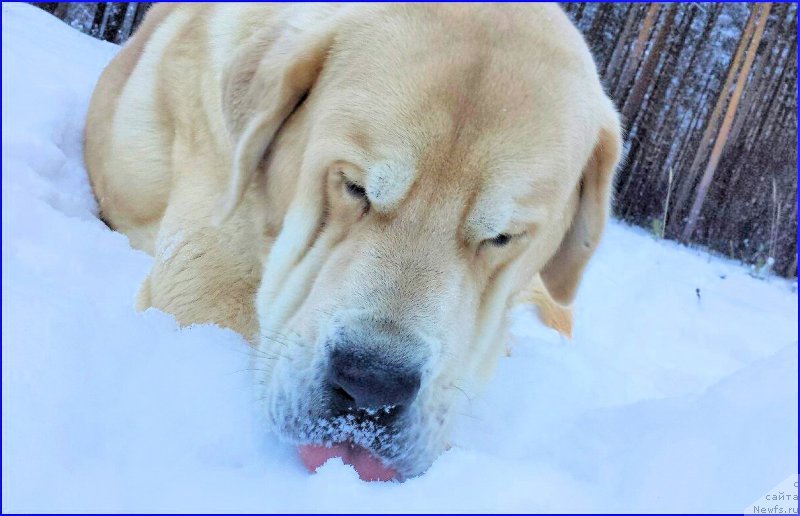Фото: Lena Zyirina (Лена Зырина), ФРАНКО