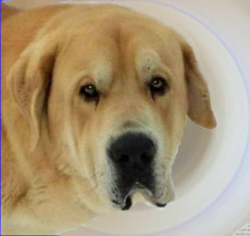 Фото: Lena Zyirina (Лена Зырина), ФРАНКО