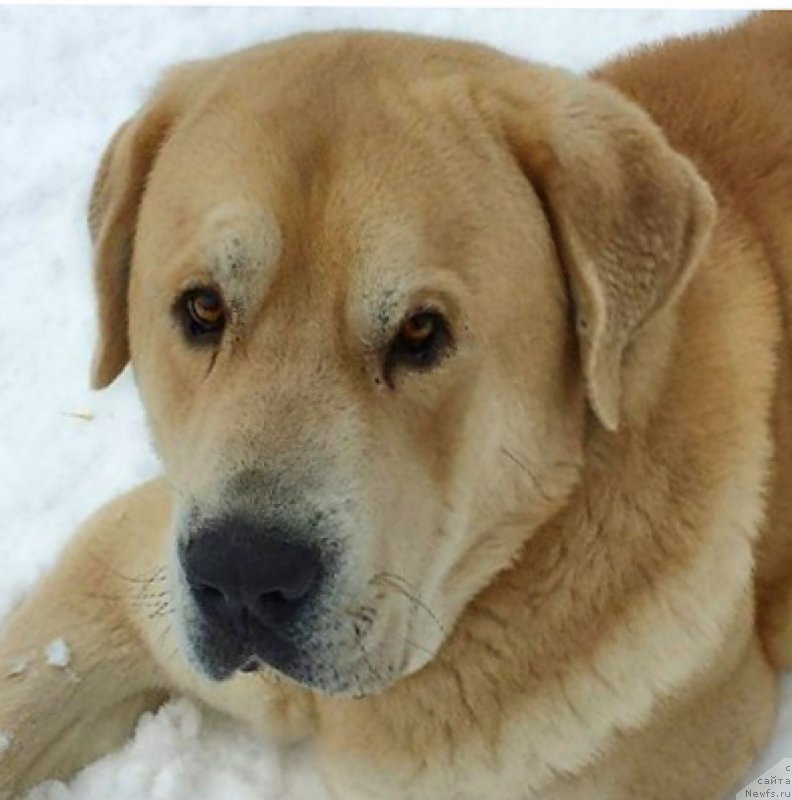 Фото: Lena Zyirina (Лена Зырина), ФРАНКО