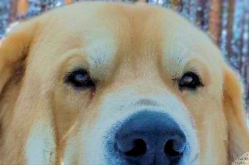 Фото: Lena Zyirina (Лена Зырина), ФРАНКО