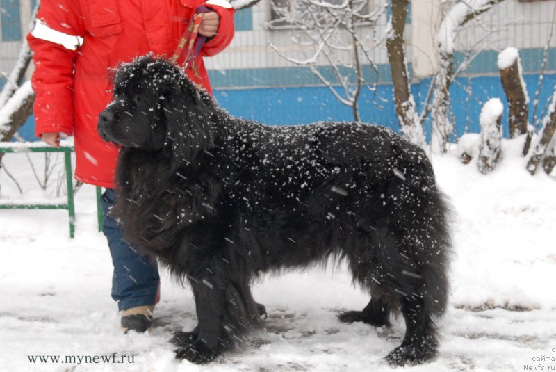 Фотография № 173495