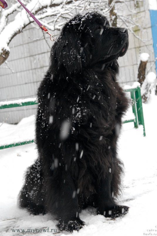 Фотография № 173496