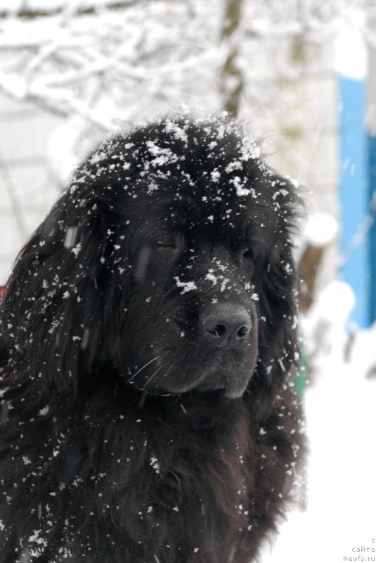 Фотография № 173497