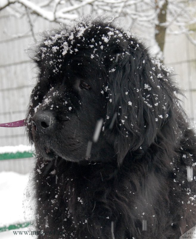 Фотография № 173498