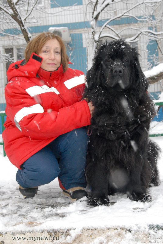 Фотография № 173501