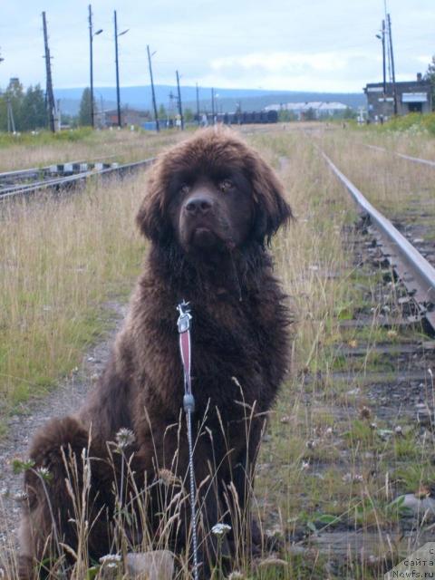 Фотография № 17353